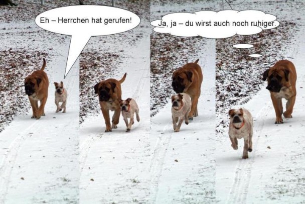 Theo und Abby Theo und Abby