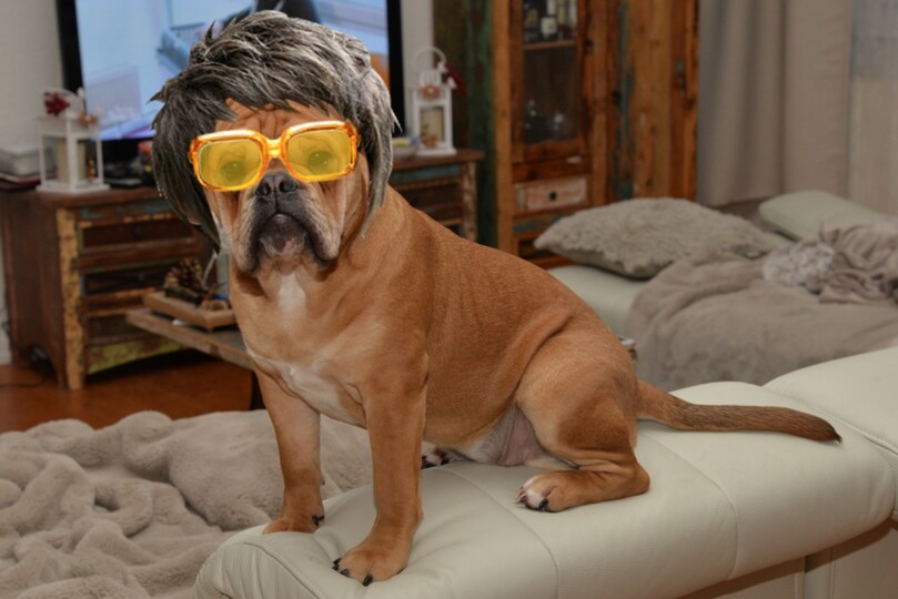 Seeblickbulls Bild der Woche 2025