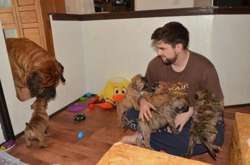 Seeblickbulls Bild der Woche 2025