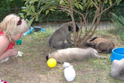 Seeblickbulls Frauke und Gisbert Seeblickbulls Frauke und Gisbert